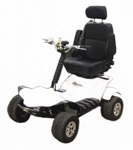 Swift /ALLMobile Single Rider Golf Cars, the Genesis